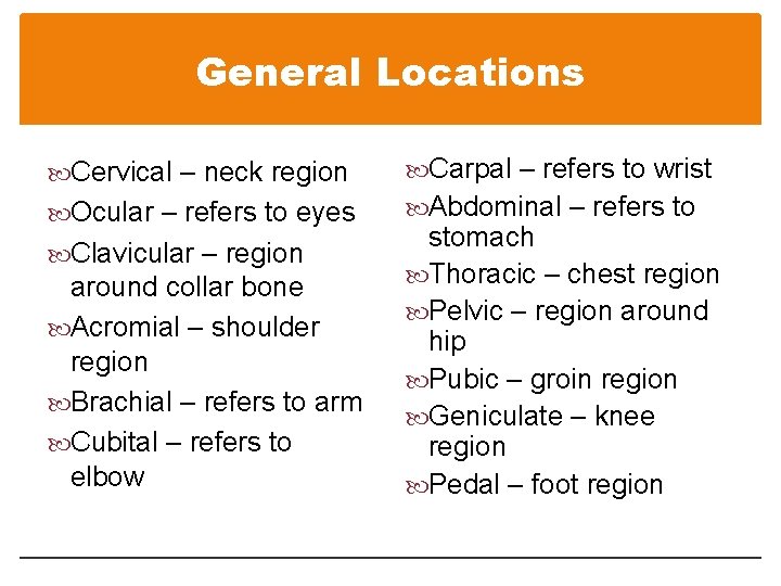 General Locations Cervical – neck region Carpal – refers to wrist Ocular – refers