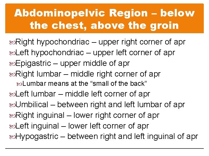 Abdominopelvic Region – below the chest, above the groin Right hypochondriac – upper right
