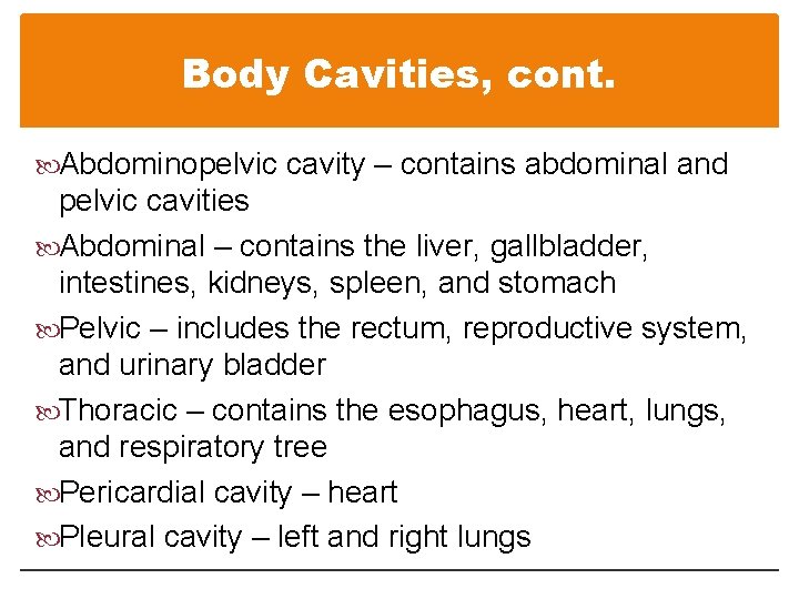Body Cavities, cont. Abdominopelvic cavity – contains abdominal and pelvic cavities Abdominal – contains