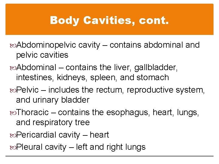 Body Cavities, cont. Abdominopelvic cavity – contains abdominal and pelvic cavities Abdominal – contains Body Cavities, cont. Abdominopelvic cavity – contains abdominal and pelvic cavities Abdominal – contains
