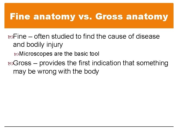 Fine anatomy vs. Gross anatomy Fine – often studied to find the cause of