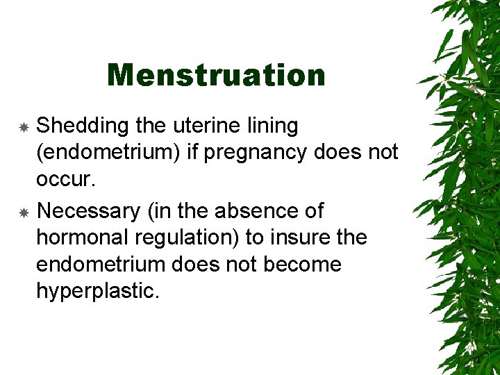 Menstruation Shedding the uterine lining (endometrium) if pregnancy does not occur. Necessary (in the