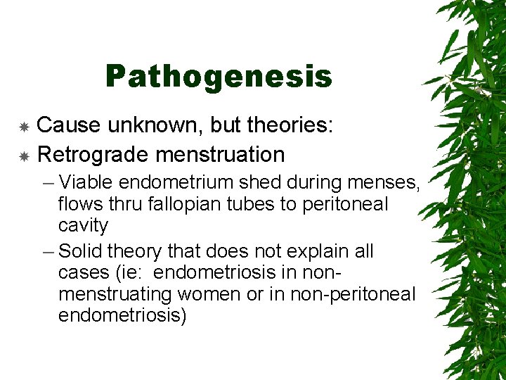 Pathogenesis Cause unknown, but theories: Retrograde menstruation – Viable endometrium shed during menses, flows