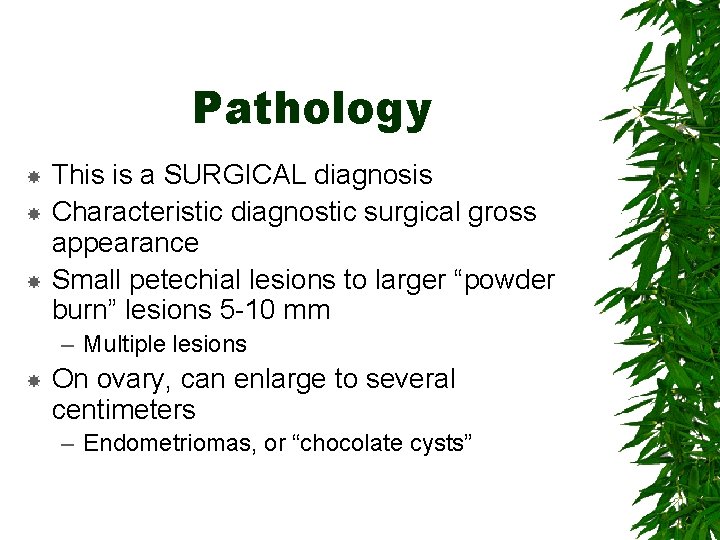 Pathology This is a SURGICAL diagnosis Characteristic diagnostic surgical gross appearance Small petechial lesions