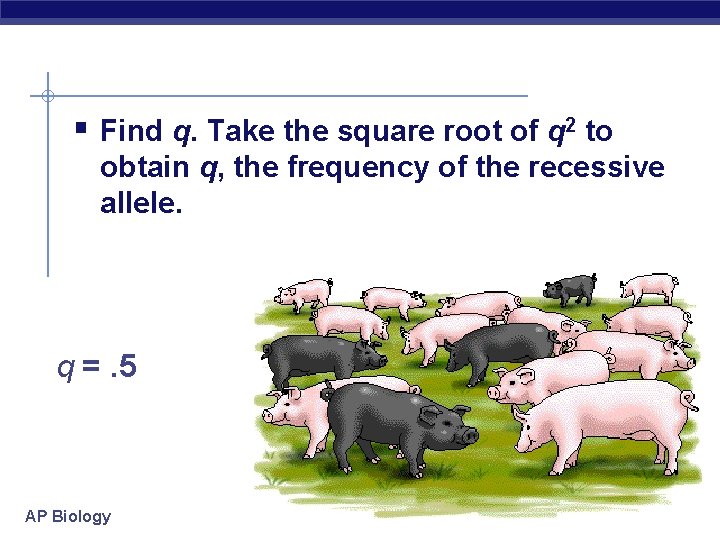 § Find q. Take the square root of q 2 to obtain q, the