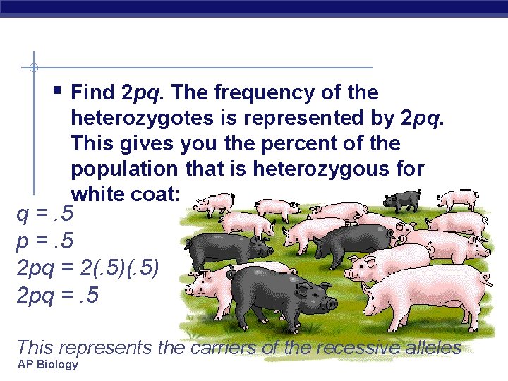 § Find 2 pq. The frequency of the heterozygotes is represented by 2 pq.