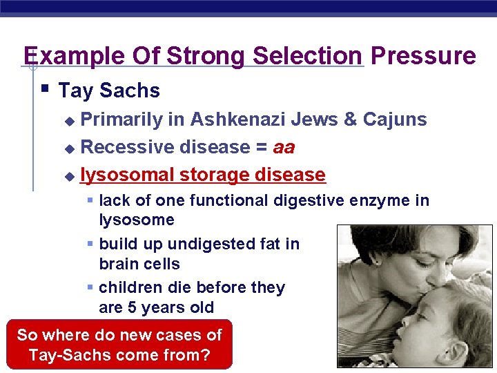 Example Of Strong Selection Pressure § Tay Sachs Primarily in Ashkenazi Jews & Cajuns