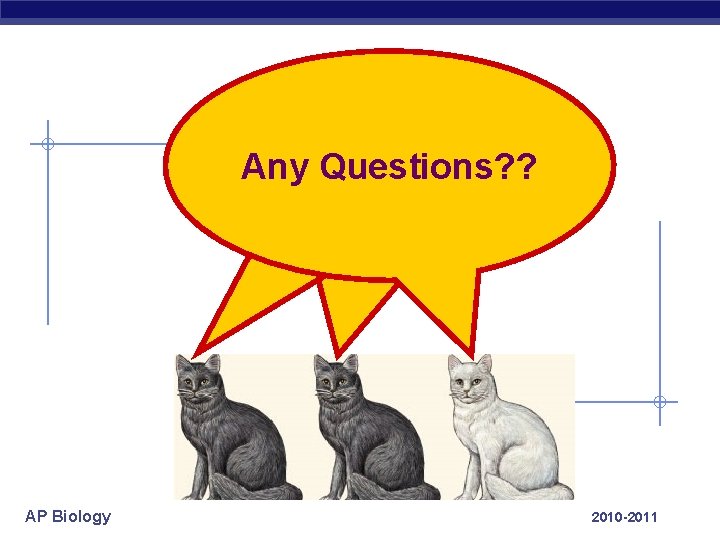 Any Questions? ? AP Biology 2010 -2011 
