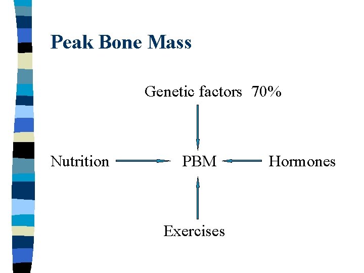 Peak Bone Mass Genetic factors 70% Nutrition PBM Exercises Hormones 