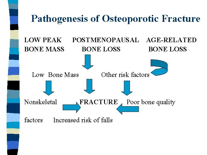 Pathogenesis of Osteoporotic Fracture LOW PEAK BONE MASS POSTMENOPAUSAL BONE LOSS Low Bone Mass