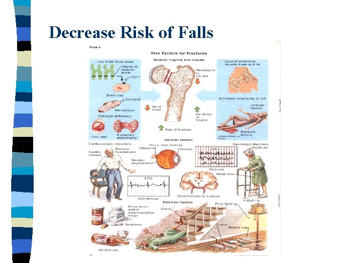 Decrease Risk of Falls 