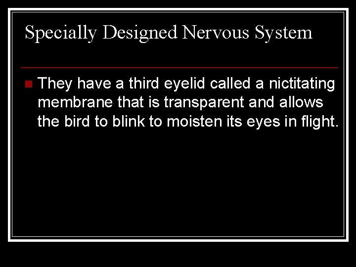 Specially Designed Nervous System n They have a third eyelid called a nictitating membrane
