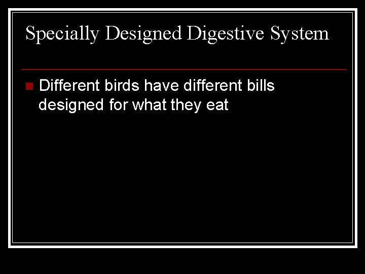 Specially Designed Digestive System n Different birds have different bills designed for what they