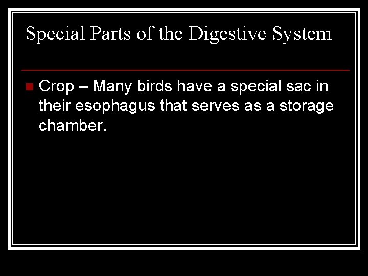 Special Parts of the Digestive System n Crop – Many birds have a special