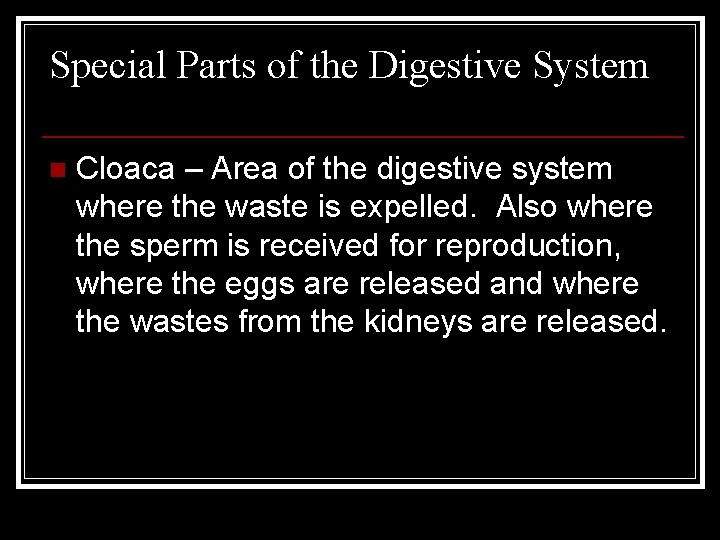 Special Parts of the Digestive System n Cloaca – Area of the digestive system