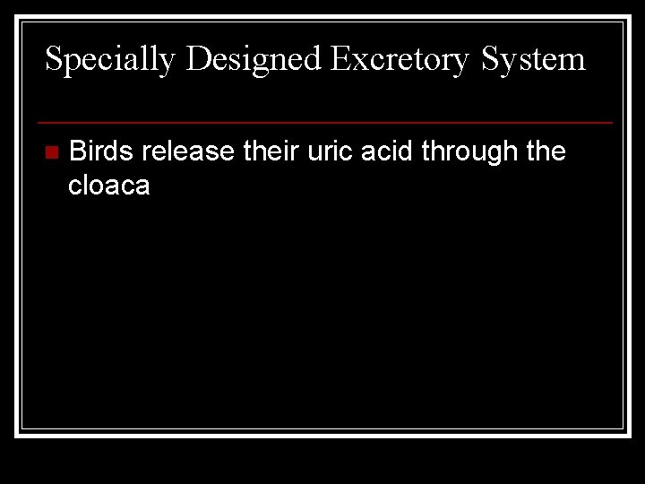 Specially Designed Excretory System n Birds release their uric acid through the cloaca 
