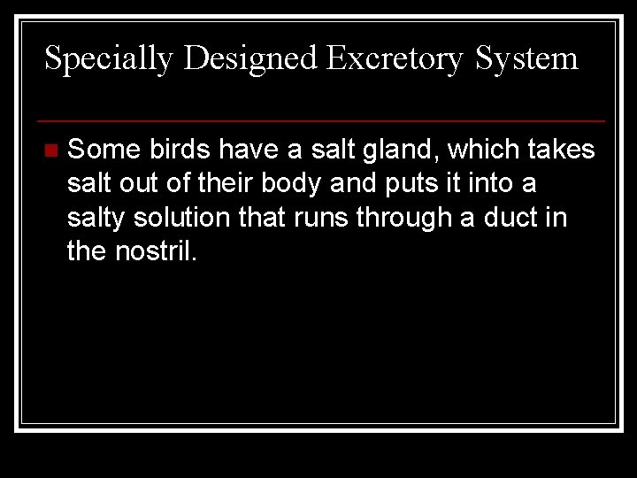 Specially Designed Excretory System n Some birds have a salt gland, which takes salt