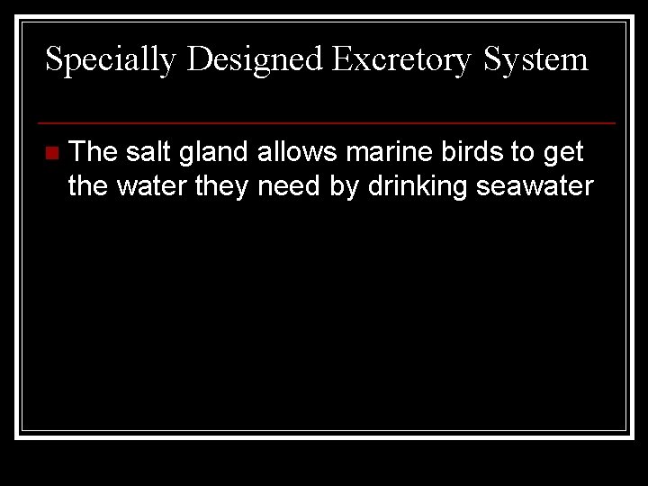 Specially Designed Excretory System n The salt gland allows marine birds to get the