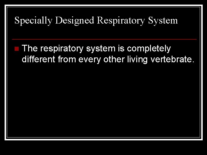 Specially Designed Respiratory System n The respiratory system is completely different from every other