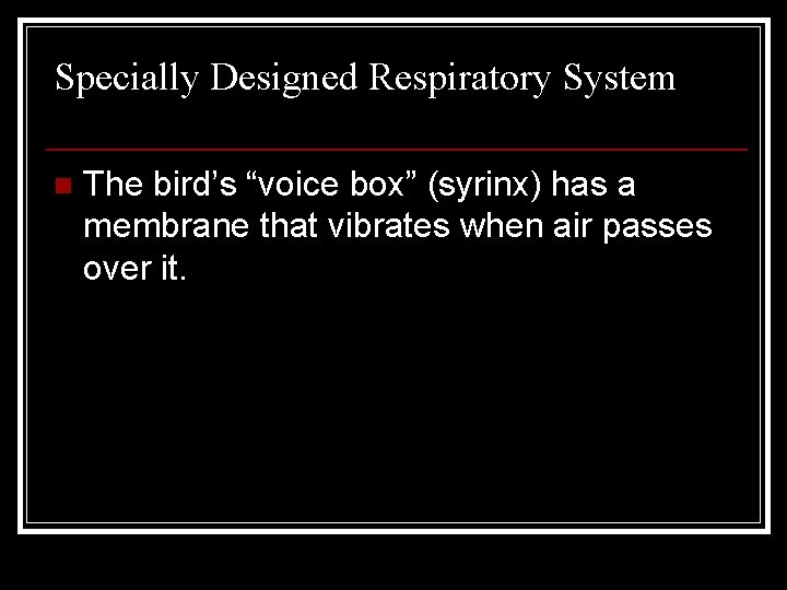 Specially Designed Respiratory System n The bird’s “voice box” (syrinx) has a membrane that