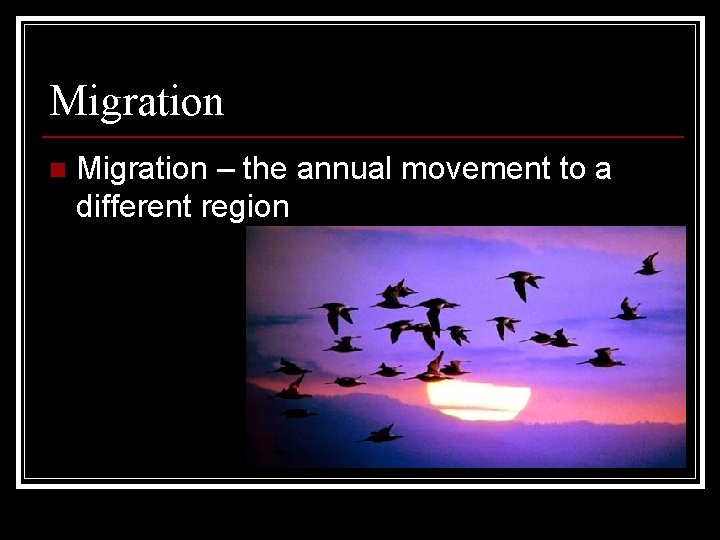 Migration n Migration – the annual movement to a different region 