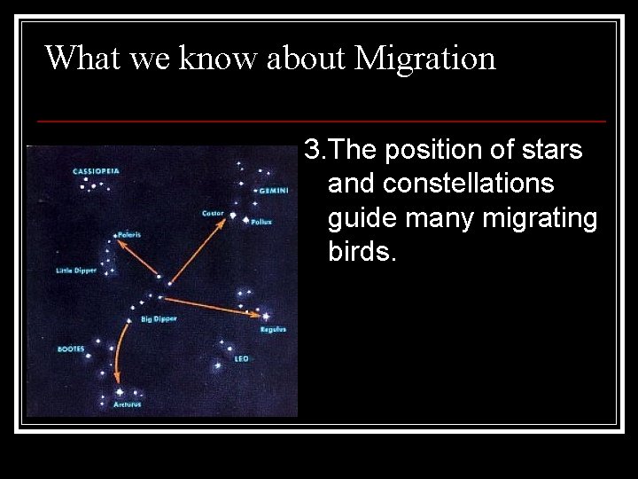 What we know about Migration 3. The position of stars and constellations guide many