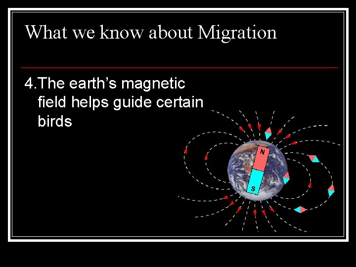 What we know about Migration 4. The earth’s magnetic field helps guide certain birds