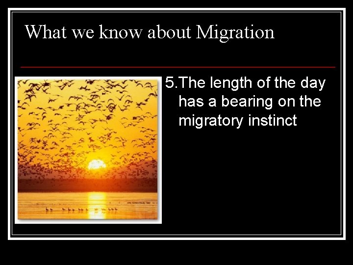 What we know about Migration 5. The length of the day has a bearing
