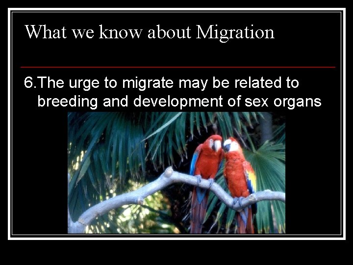 What we know about Migration 6. The urge to migrate may be related to