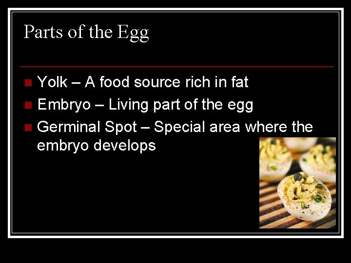 Parts of the Egg Yolk – A food source rich in fat n Embryo