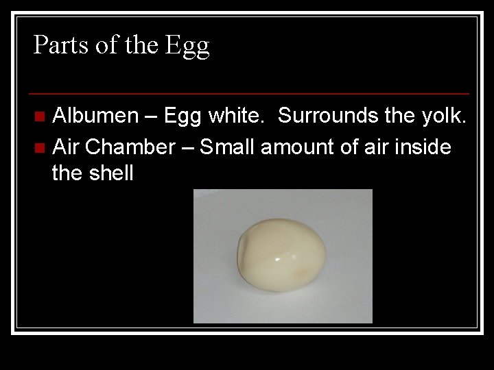 Parts of the Egg Albumen – Egg white. Surrounds the yolk. n Air Chamber