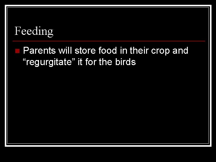 Feeding n Parents will store food in their crop and “regurgitate” it for the