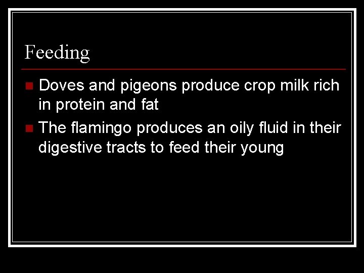 Feeding Doves and pigeons produce crop milk rich in protein and fat n The