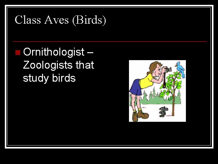 Class Aves (Birds) n Ornithologist – Zoologists that study birds 