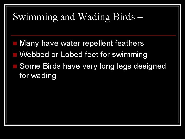 Swimming and Wading Birds – Many have water repellent feathers n Webbed or Lobed