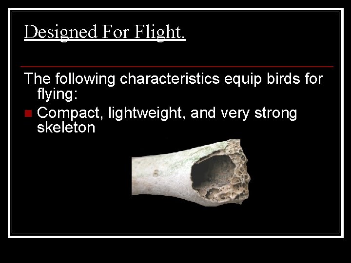 Designed For Flight. The following characteristics equip birds for flying: n Compact, lightweight, and