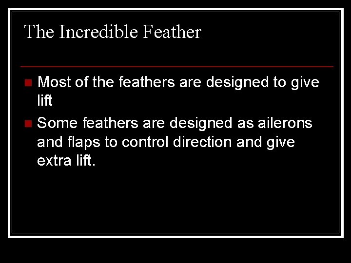 The Incredible Feather Most of the feathers are designed to give lift n Some