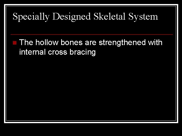Specially Designed Skeletal System n The hollow bones are strengthened with internal cross bracing