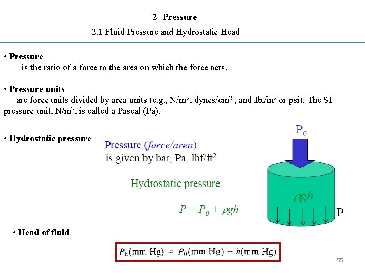 2 - Pressure 2. 1 Fluid Pressure and Hydrostatic Head • Pressure is the