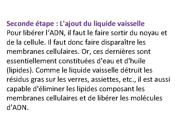 Seconde étape : L'ajout du liquide vaisselle Pour libérer l‘ADN, il faut le faire