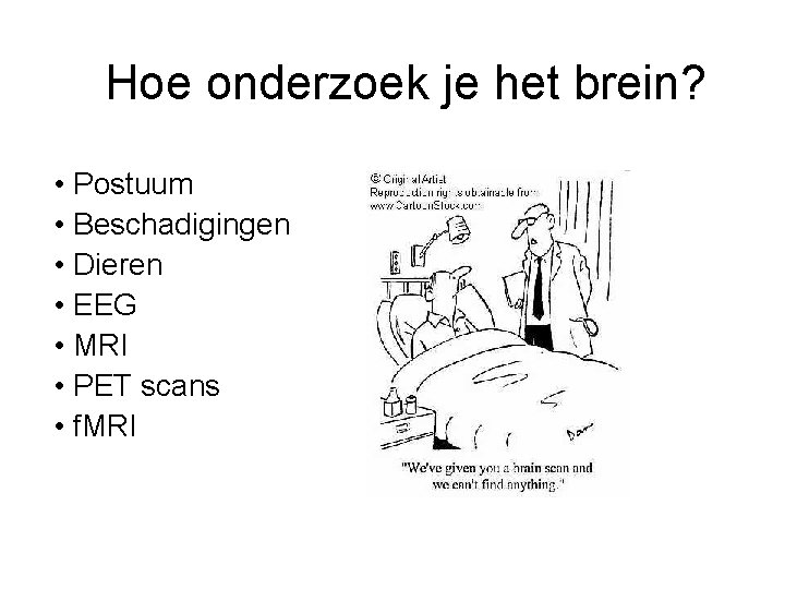 Hoe onderzoek je het brein? • Postuum • Beschadigingen • Dieren • EEG •