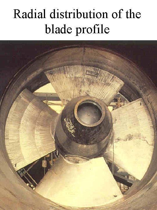 Radial distribution of the blade profile 