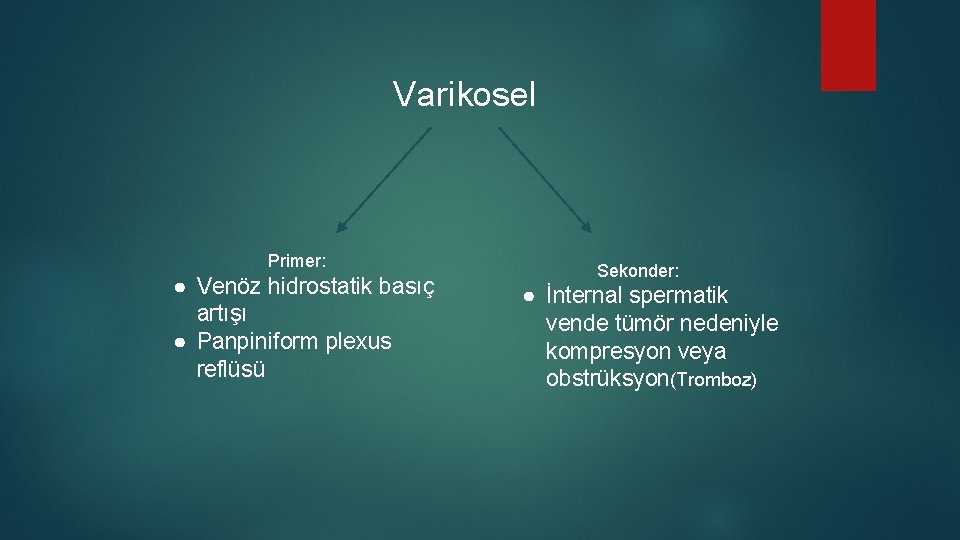 Varikosel Primer: ● Venöz hidrostatik basıç artışı ● Panpiniform plexus reflüsü Sekonder: ● İnternal Varikosel Primer: ● Venöz hidrostatik basıç artışı ● Panpiniform plexus reflüsü Sekonder: ● İnternal