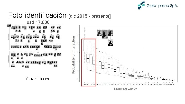 Foto-identificación [dic 2015 - presente] usd 17. 000 Crozet Islands 