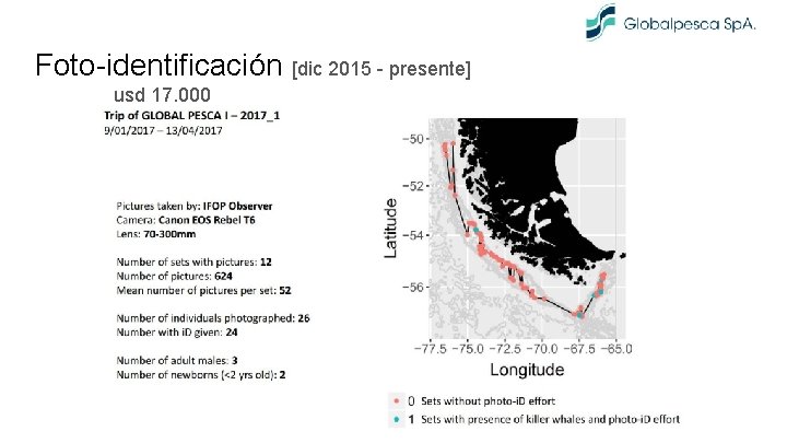 Foto-identificación [dic 2015 - presente] usd 17. 000 