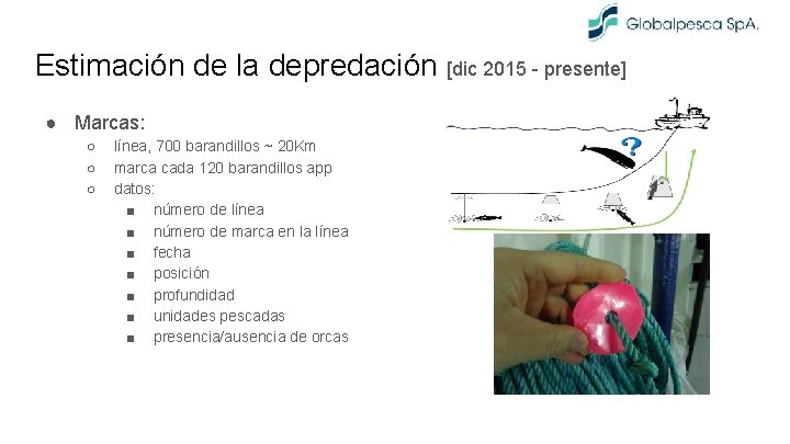 Estimación de la depredación [dic 2015 - presente] ● Marcas: ○ ○ ○ línea,