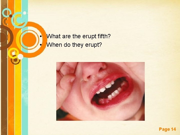  • What are the erupt fifth? • When do they erupt? Free Powerpoint