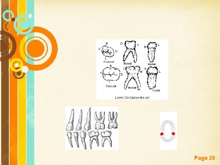 Free Powerpoint Templates Page 28 