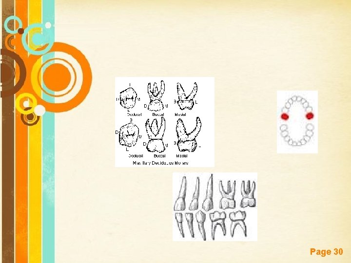 Free Powerpoint Templates Page 30 