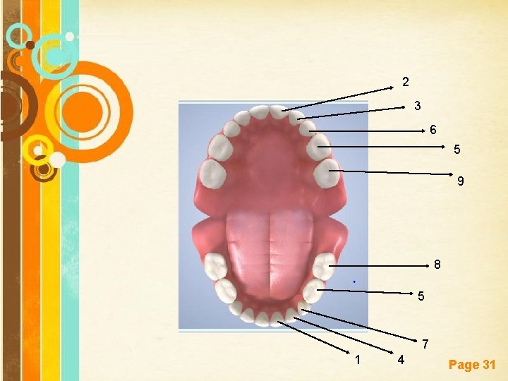 2 3 6 5 9 8 5 Free Powerpoint Templates 1 7 4 Page